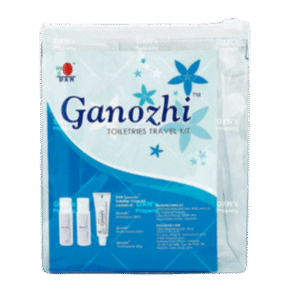 dxn toiletries travel kit