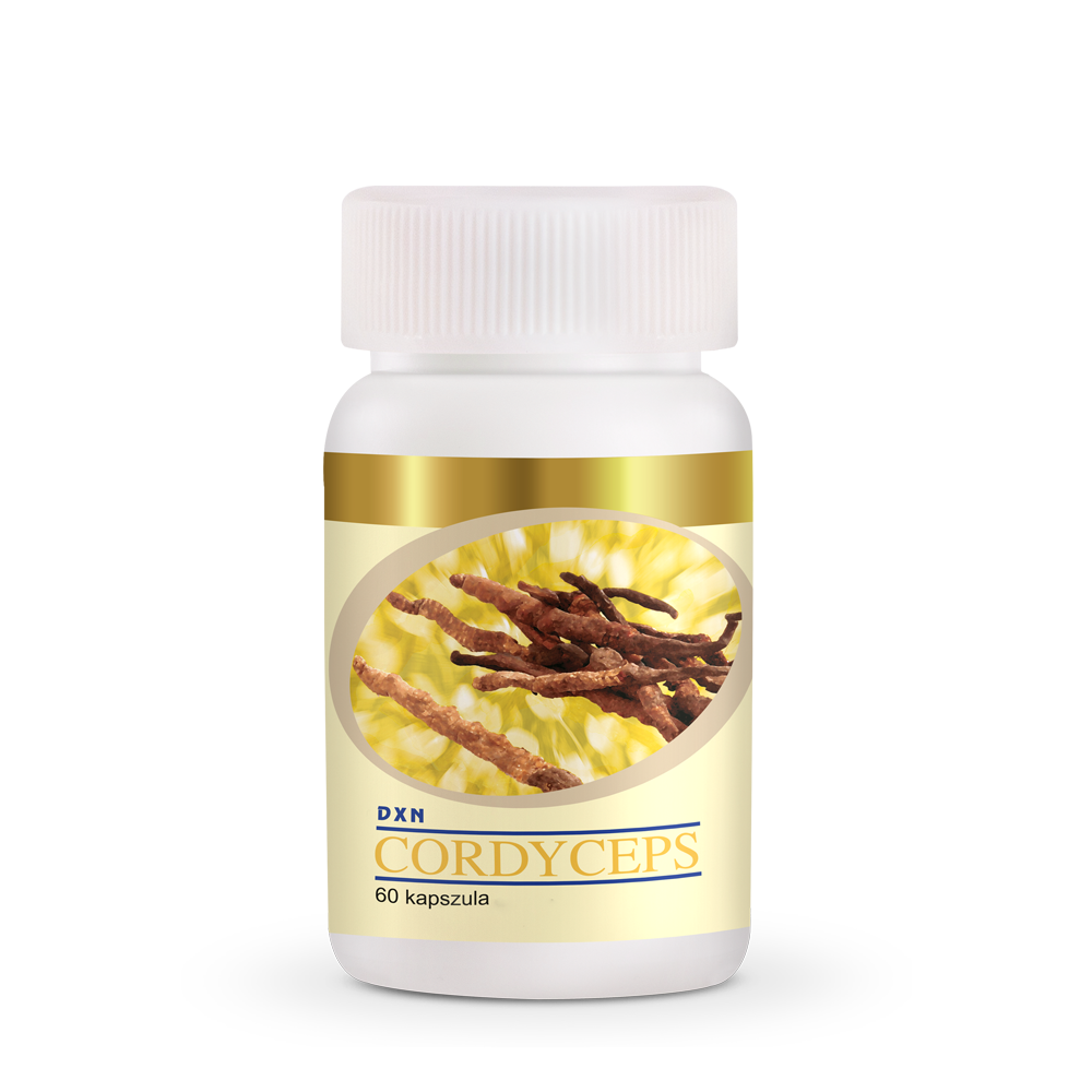 dxn cordyceps dxn cordyceps